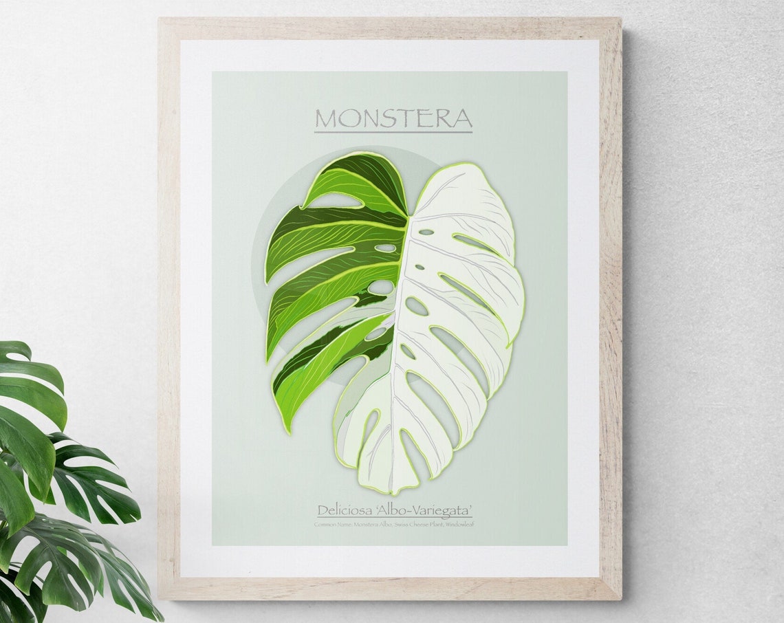 Instant Minimalist Botanical Art Monstera Leaf Wall Poster Decor