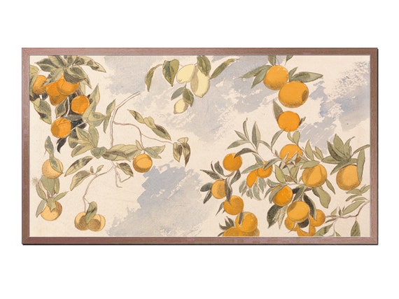 Frame Tv Art File Vintage Watercolor Oranges Frame Tv Art Farmhouse Tv Art Fruit Trees Art For Tv Frame Instant