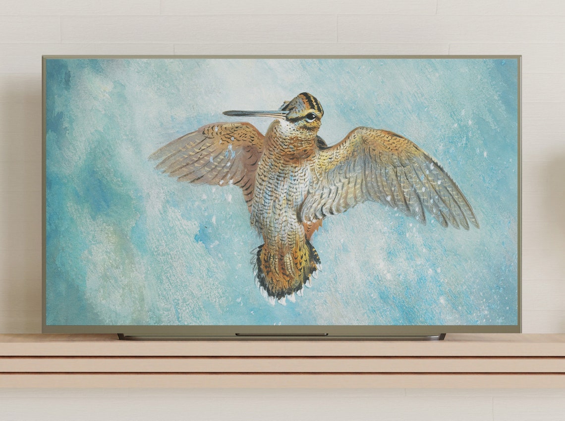 Woodcock in Flight Against Turquoise Sky Vintage Game Bird Print - Image 3