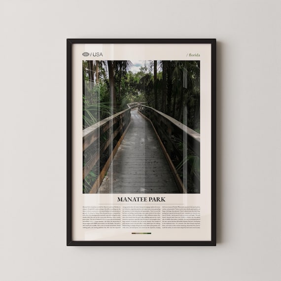 Manatee Park Florida Jungle Boardwalk Photo Travel Art Poster