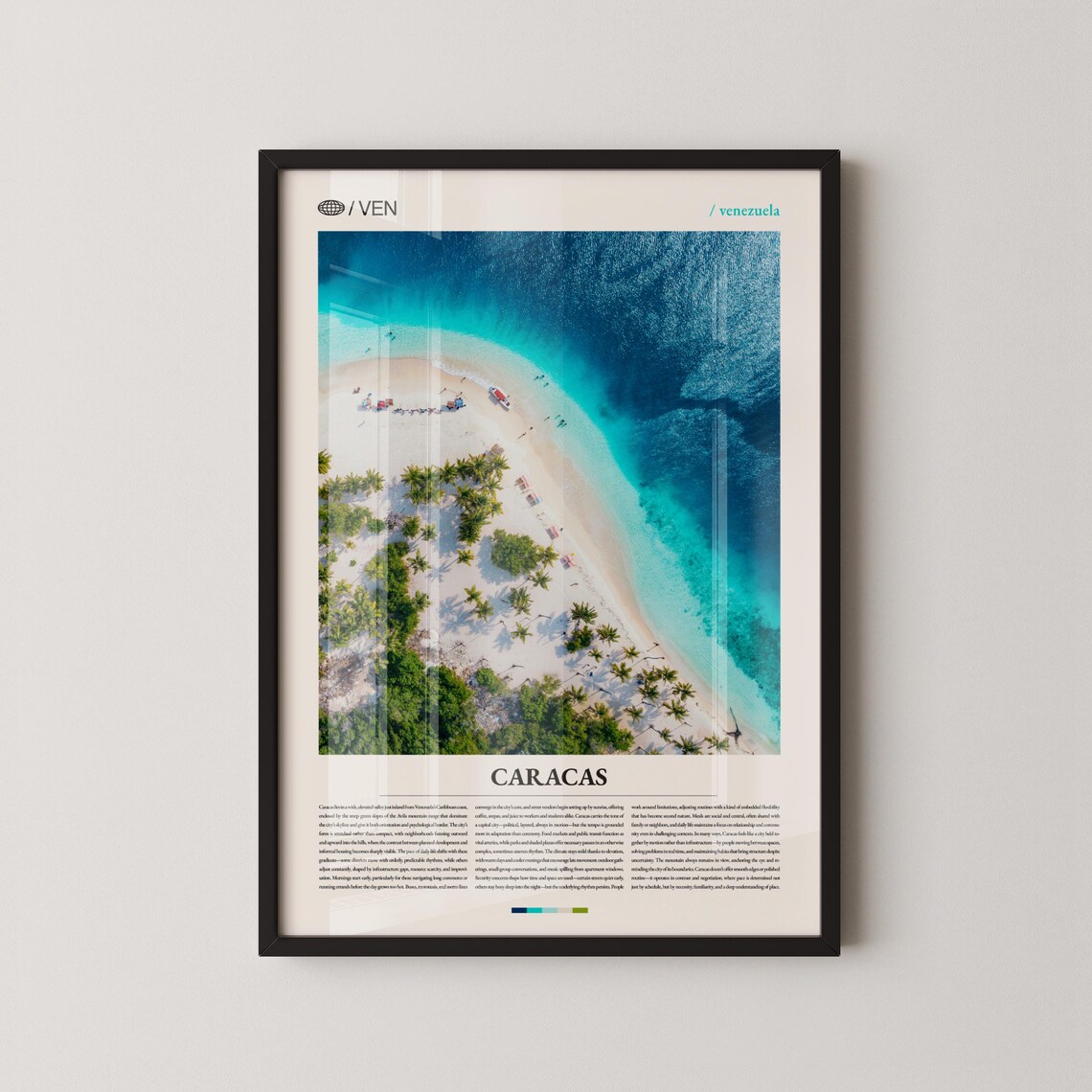 Venezuela Caribbean Beach Aerial White Sand Palm Trees Caracas Poster