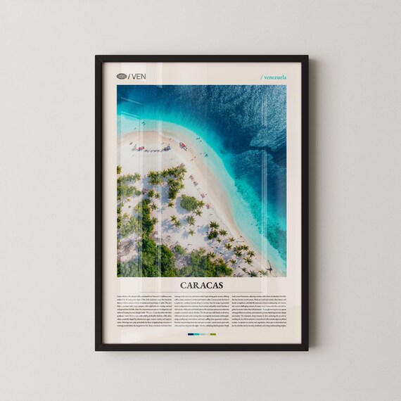 Venezuela Caribbean Beach Aerial White Sand Palm Trees Caracas Poster
