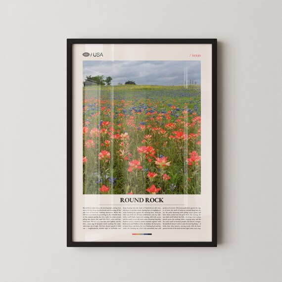 Round Rock Texas Wildflower Field Indian Paintbrush Meadow Poster