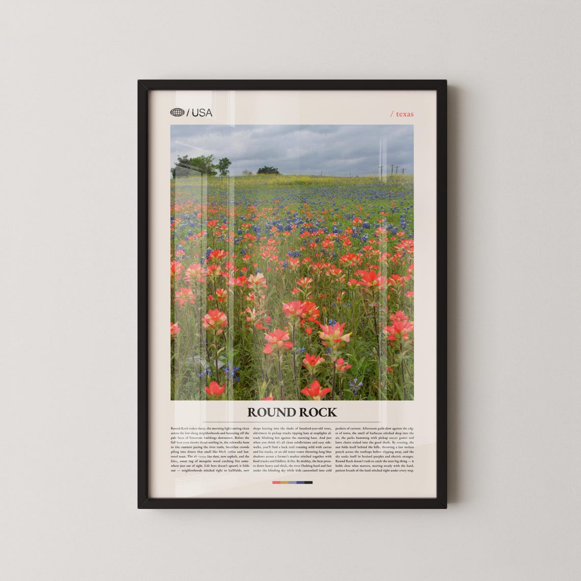 Round Rock Texas Wildflower Field Indian Paintbrush Meadow Poster