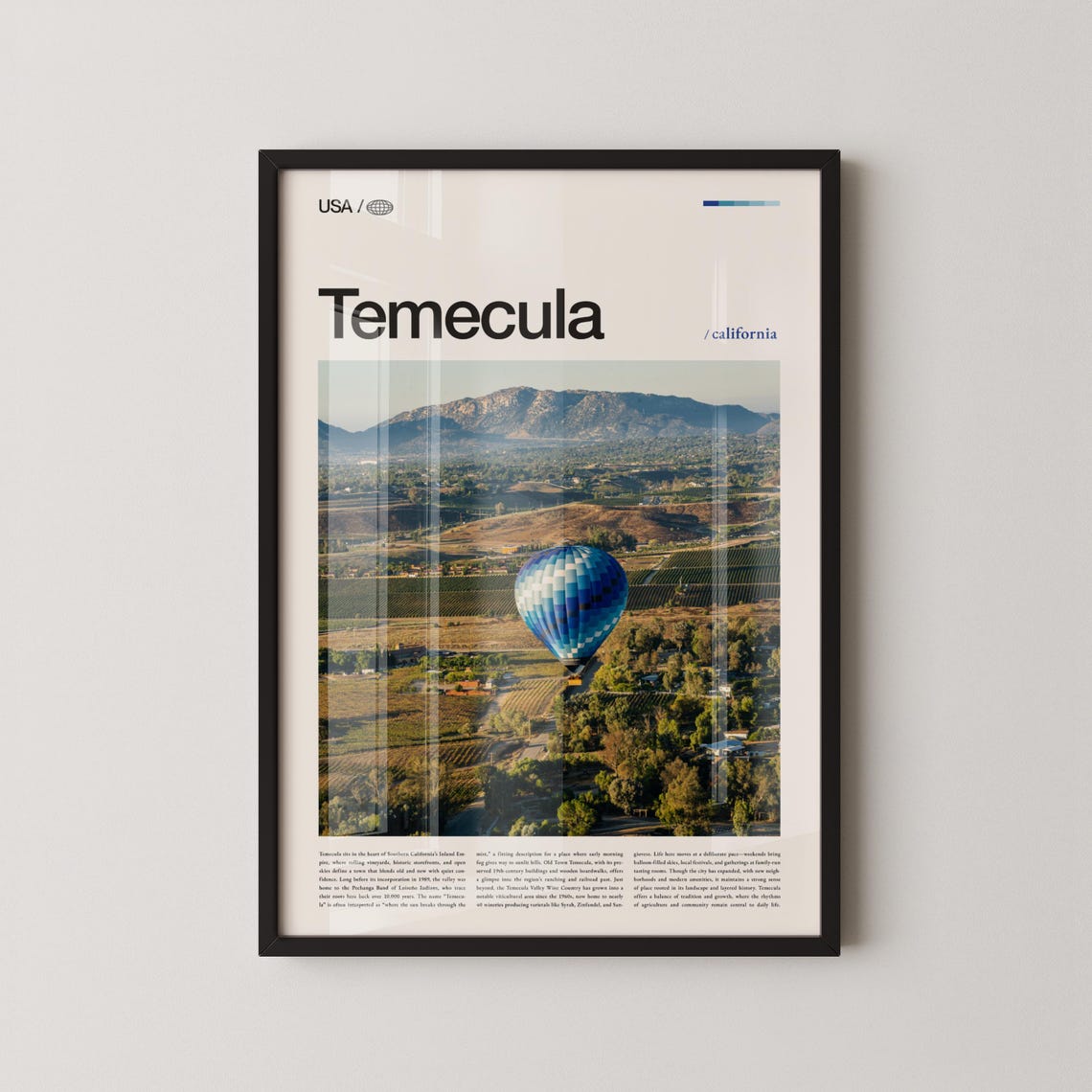 Temecula California Hot Air Balloon Vineyard Valley Photo Poster