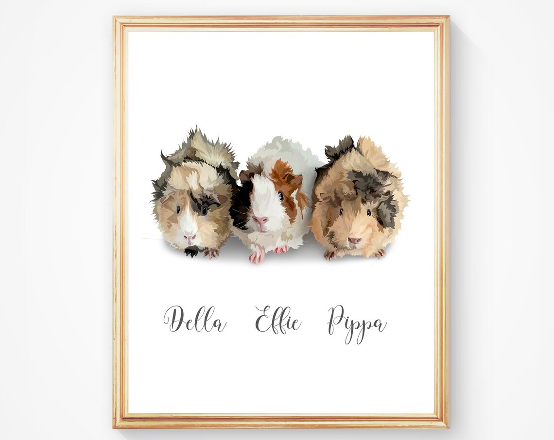 3 Custom Guinea Pig Portraits, Regal Pet Memorial Print