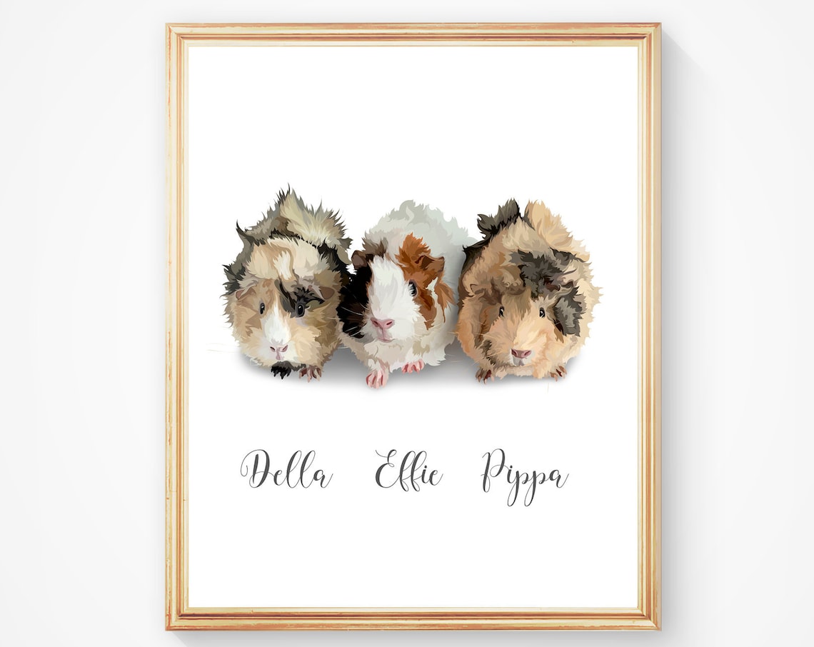 Custom Three Guinea Pig Portrait Sadie Peanut Romi Trio Poster - Image 5