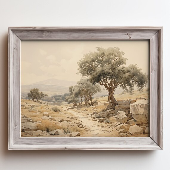 Rustic Olive Grove Rocky Path Golden Countryside Landscape Poster