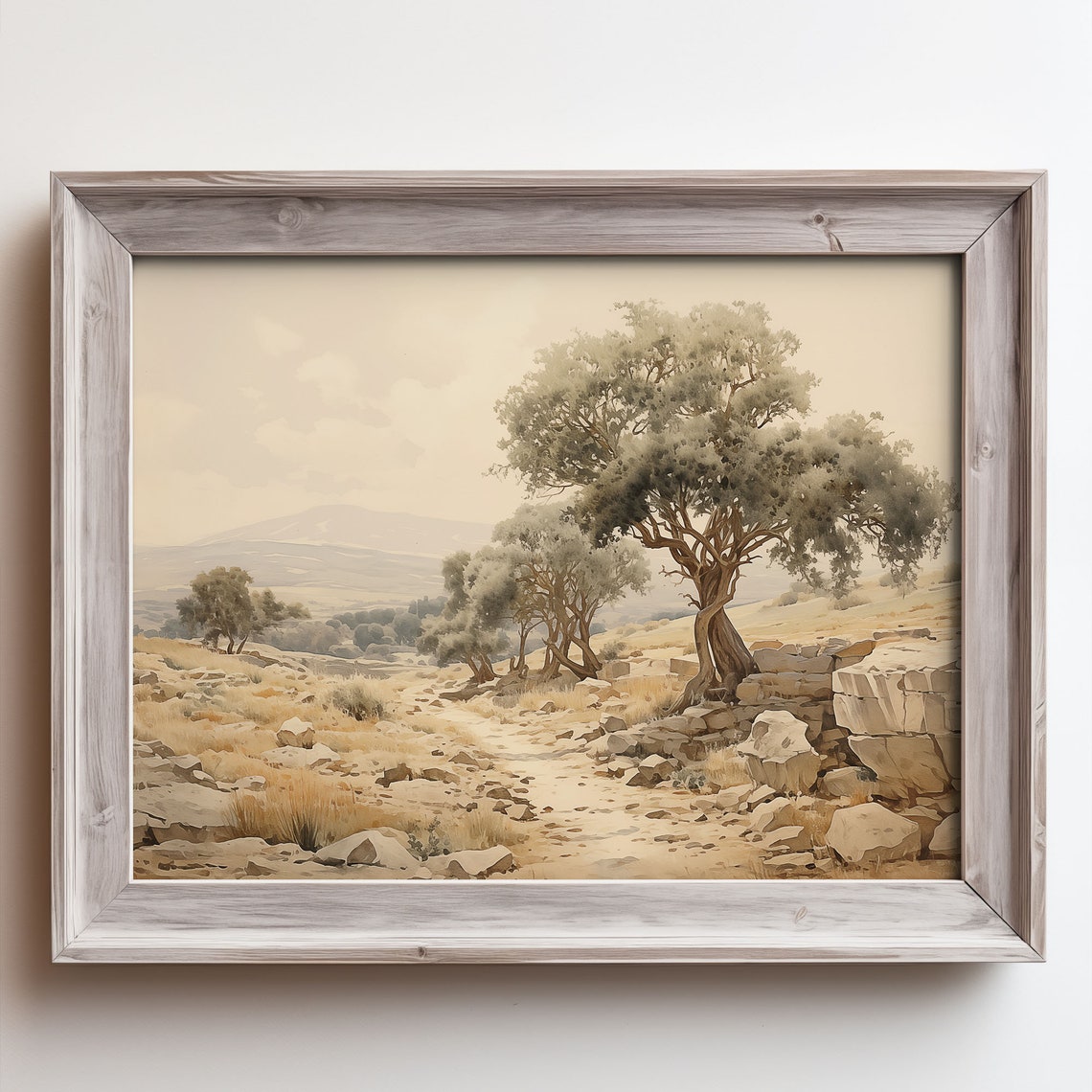 Rustic Olive Grove Rocky Path Golden Countryside Landscape Poster