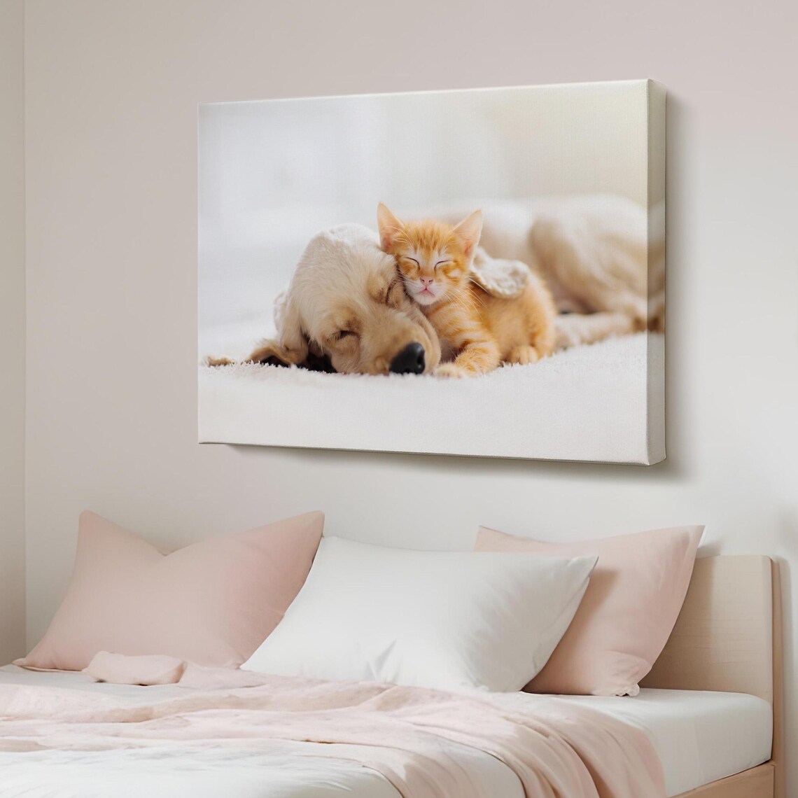 Sleeping Golden Retriever Puppy and Orange Kitten Cuddle Photo Poster