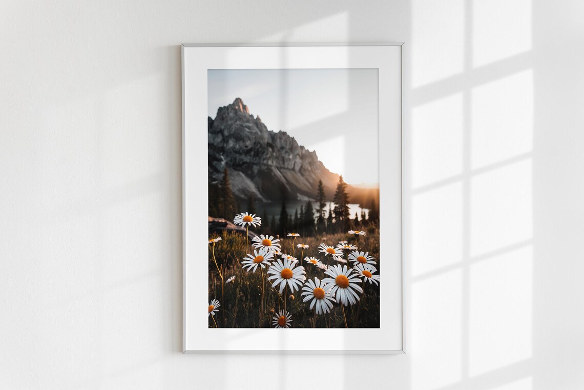 Sunset Daisy Wildflowers Field Alpine Mountain Lake Golden Poster - Image 6