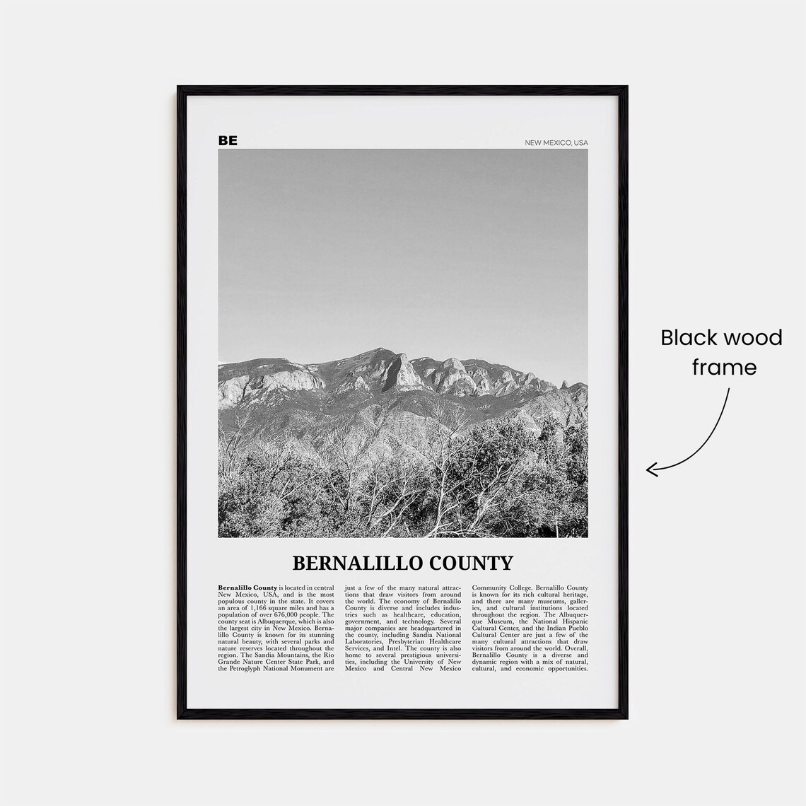 Bernalillo County Black And White Travel Poster - Image 3
