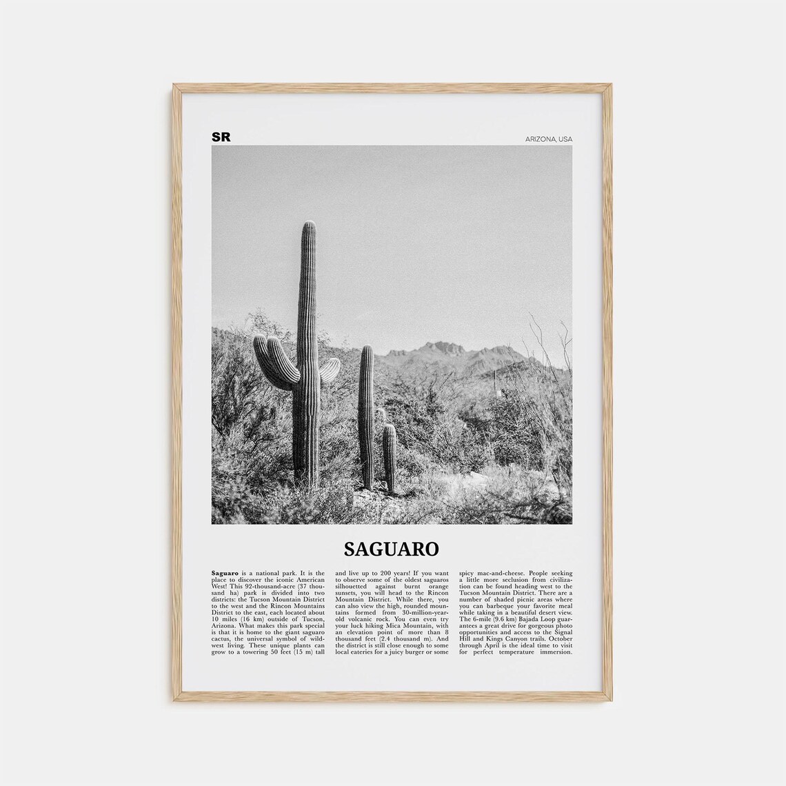 Saguaro National Park Black And White Travel Poster