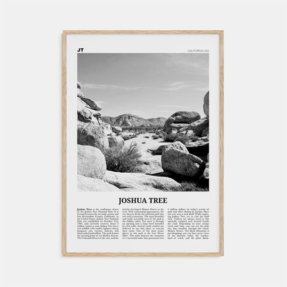 Joshua Tree National Park Black And White Photo Art Print