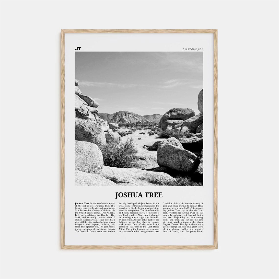 Joshua Tree National Park Black And White Photo Art Print