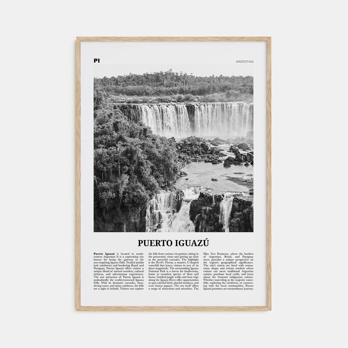 Puerto Iguazu Print Black And White Puerto Iguazu Wall Art Puerto Iguazu Poster Puerto Iguazu Photo Puerto Iguazu Wall Dcor Argentina