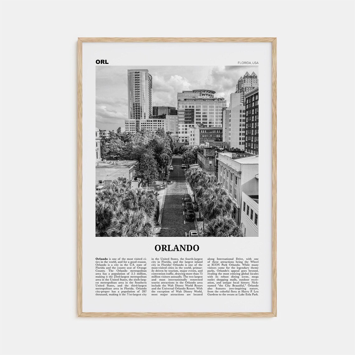 Orlando Florida Black And White No. 3 Travel Poster