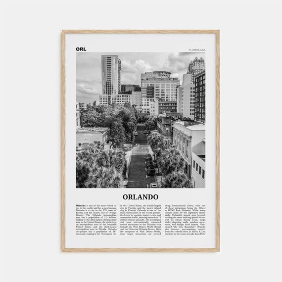 Orlando Florida Black And White No. 3 Travel Poster