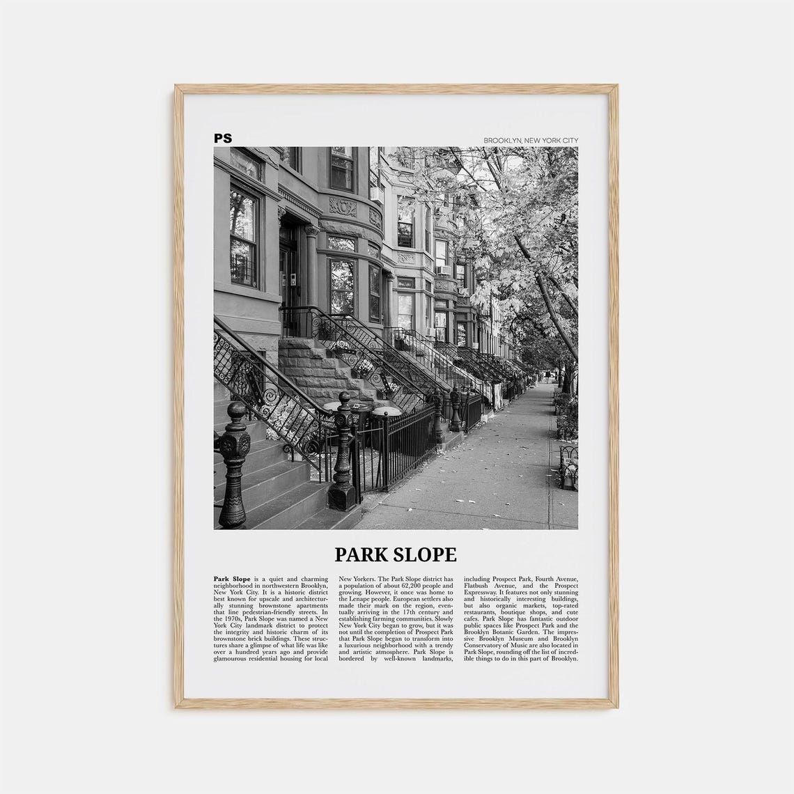 Park Slope Black and White Travel Poster