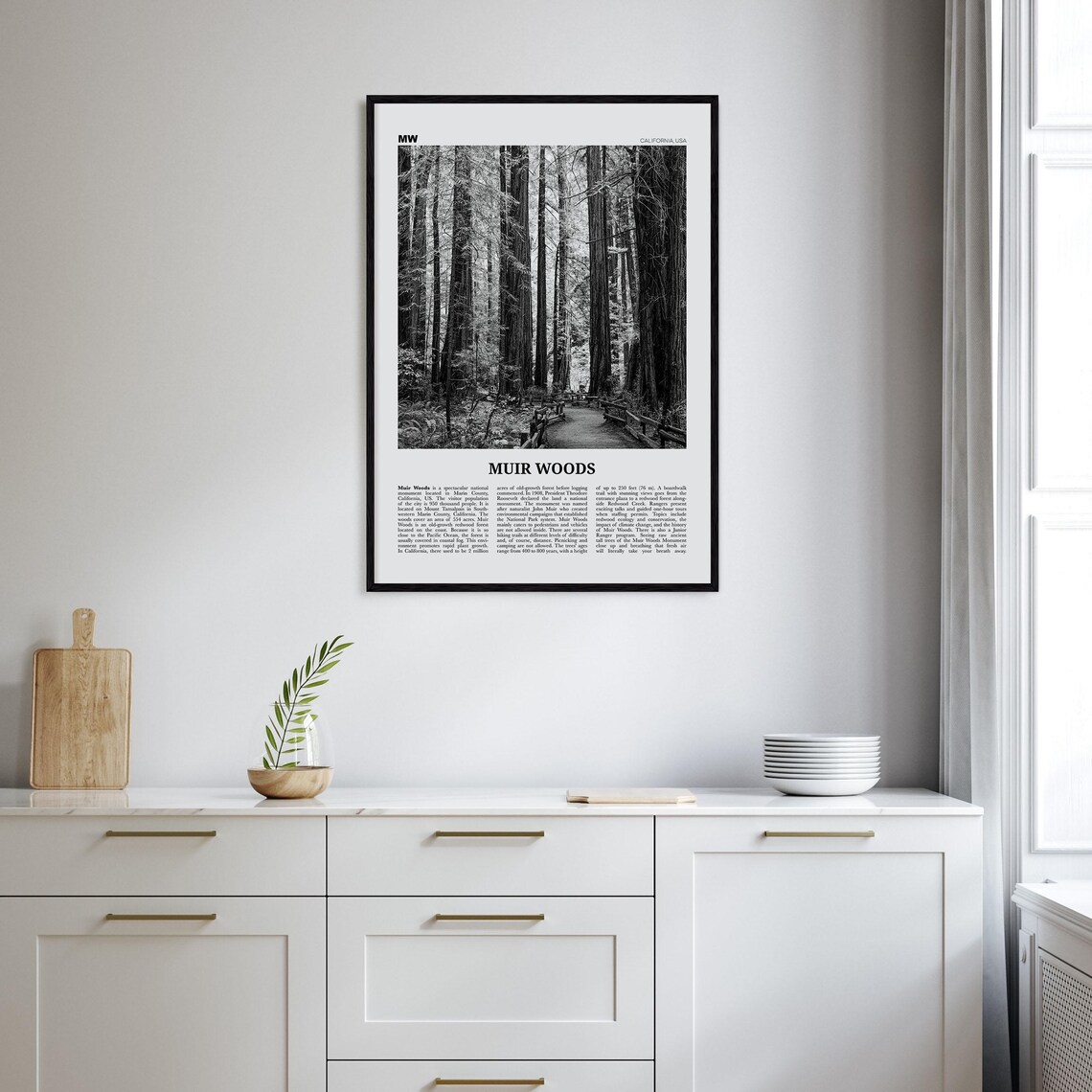 Muir Woods National Monument, Black and White Travel Poster - Image 2