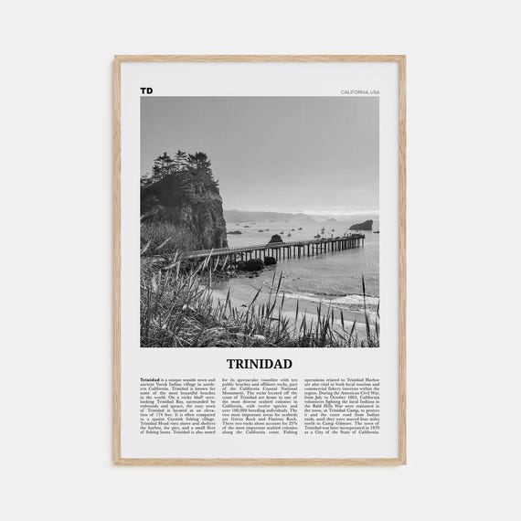 Trinidad Black and White Travel Poster, California