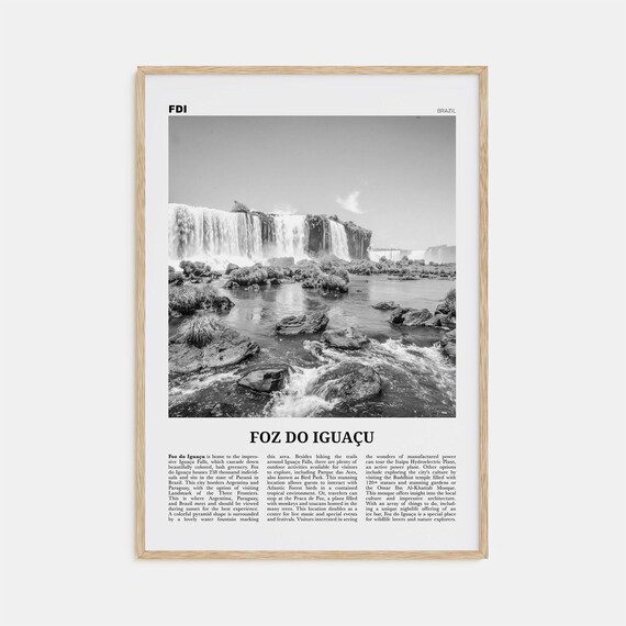 Foz Do Iguacu Waterfalls Cascade Black And White Brazil Poster