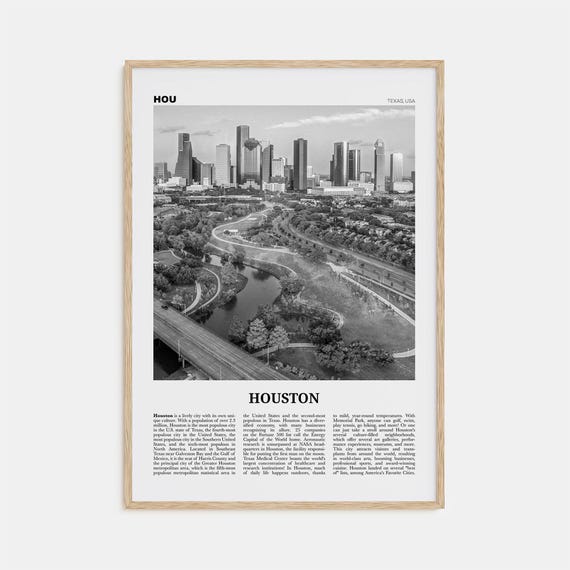Houston Black and White No. 4 Travel Poster