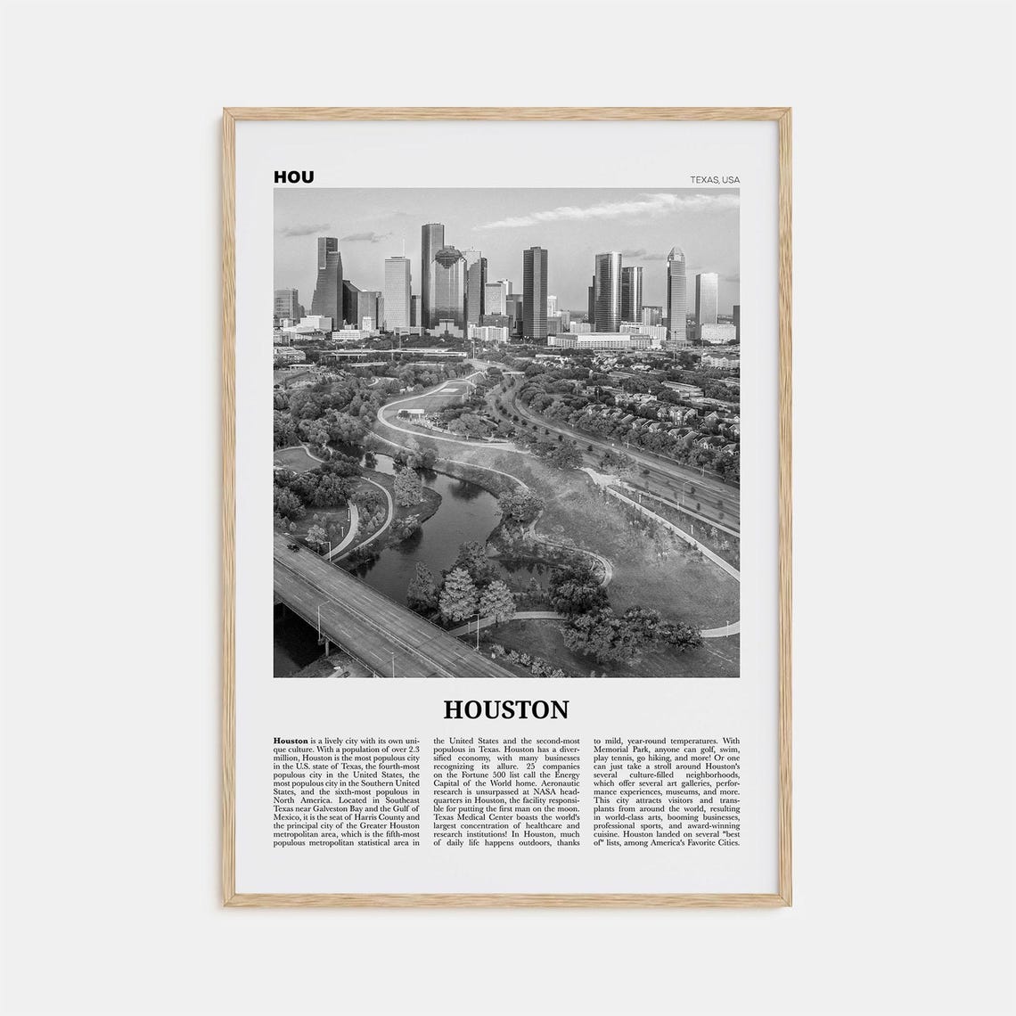 Houston Black and White No. 4 Travel Poster