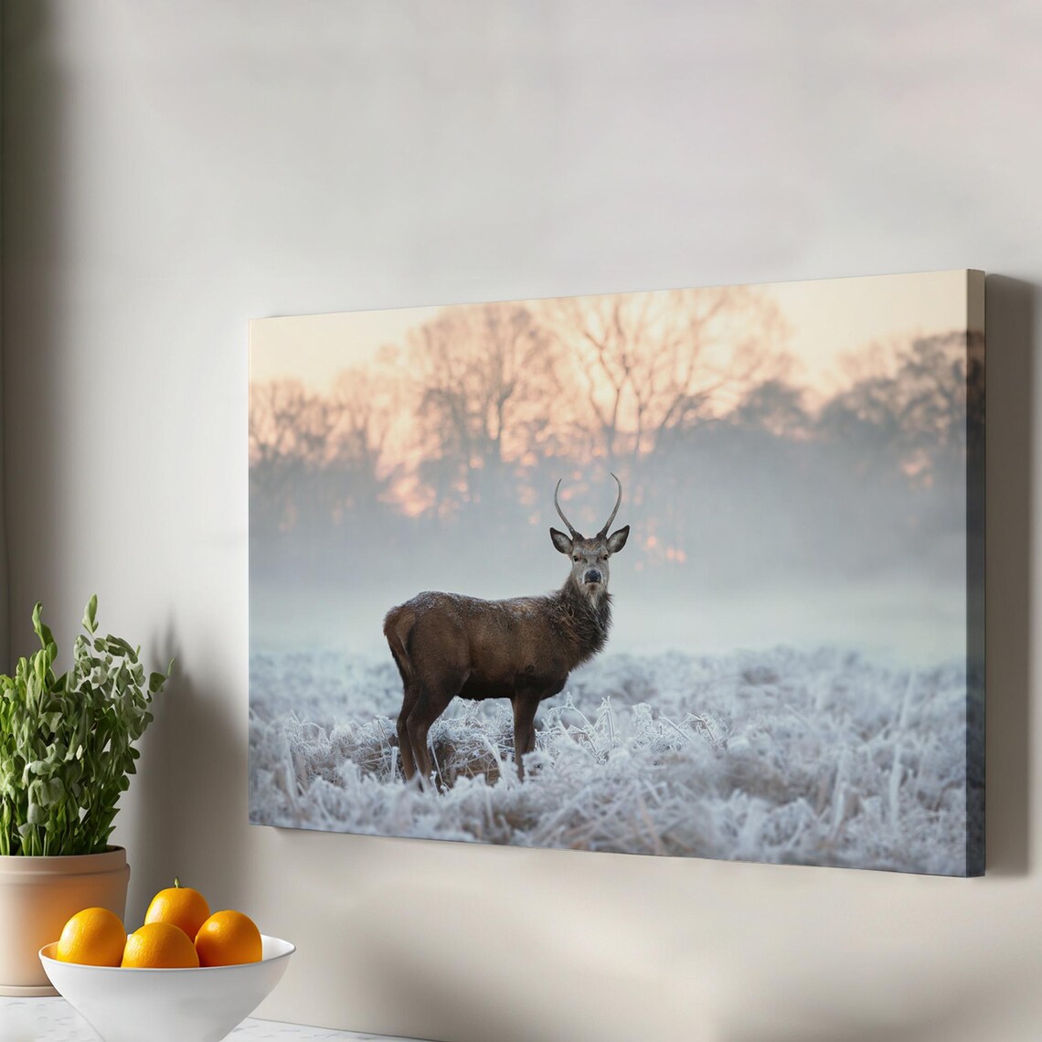 Majestic Red Deer Stag in Frosty Morning Mist Wildlife Poster