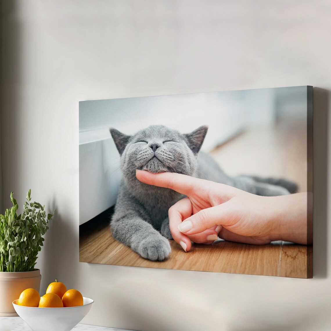 Gray Cat Chin Scratch Happy Kitten Cute Pet Photo Animal Print