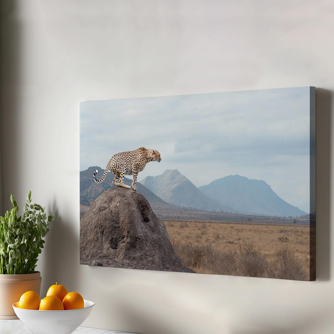 Cheetah on Termite Mound African Savanna Wildlife Safari Poster