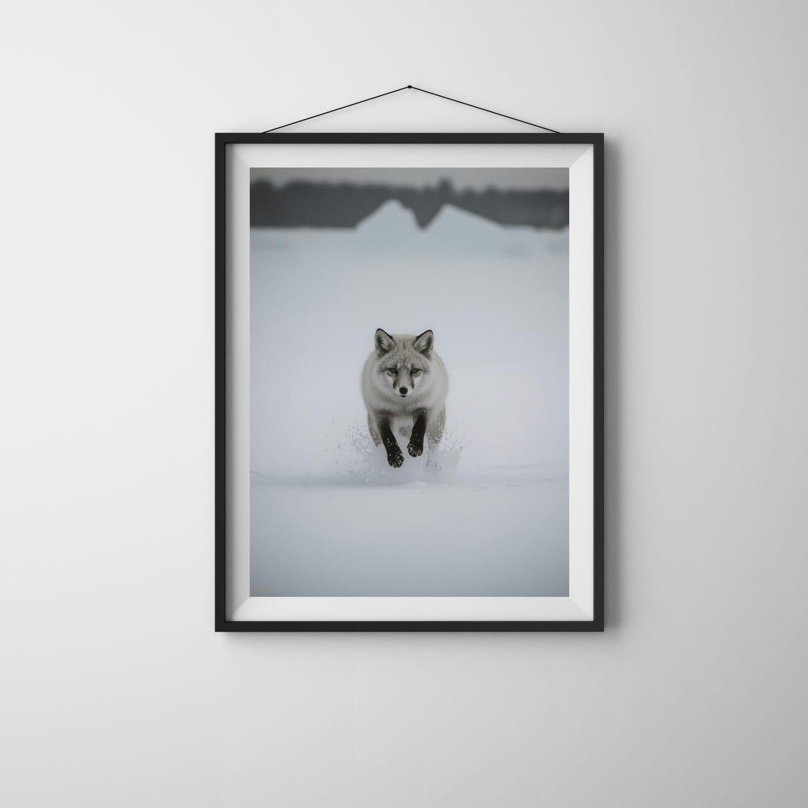 Arctic Fox Photography Print Black And White Wildlife Wall Decor