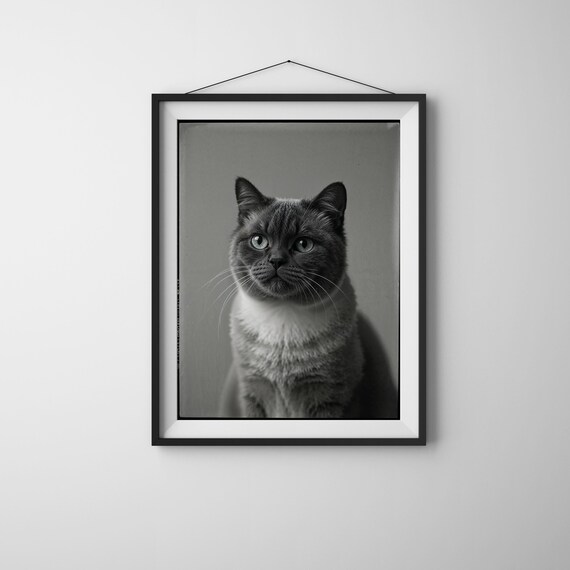 Black And White Scottish Fold Cat Portrait Vintage Pet Poster