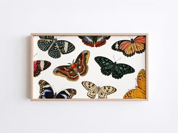 Vintage Butterflies Tv Art Tv Art Butterfly Art For Frame Tv Art Frame Tv