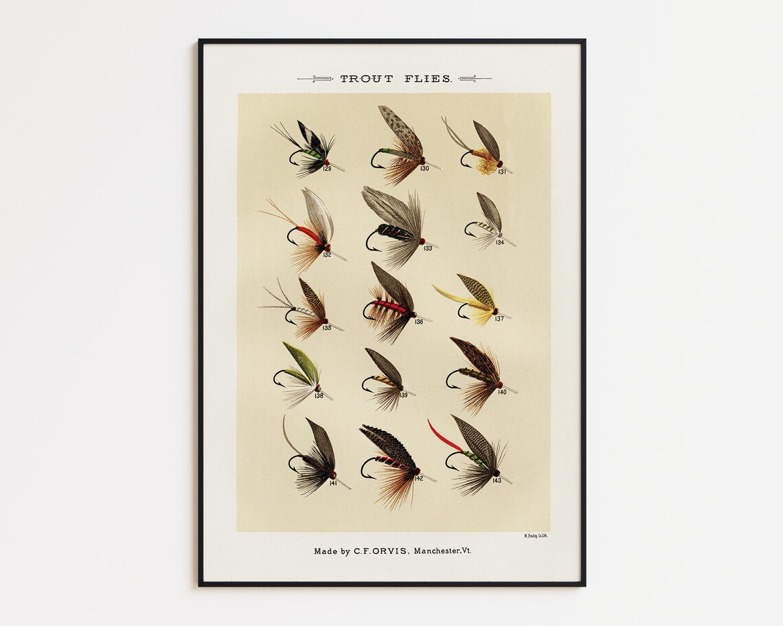 Trout Fishing Flies Wall Art Trout Fish Wall Decor Vintage Cabin Art Print Fishing Lure Poster Fisherman Gift Gift For Dad - Image 2