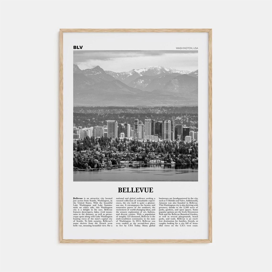 Bellevue Black and White No. 1 Travel Poster, Washington