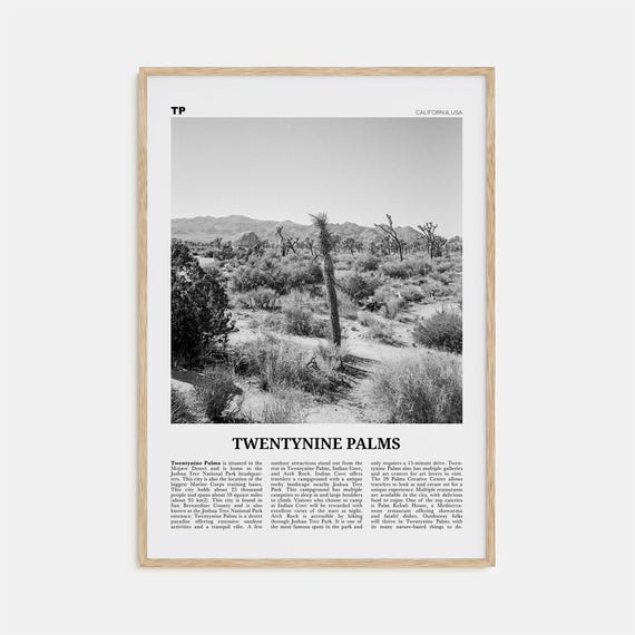 Twentynine Palms Black and White Travel Poster
