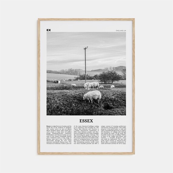 Essex Black and White Travel Poster, England Map