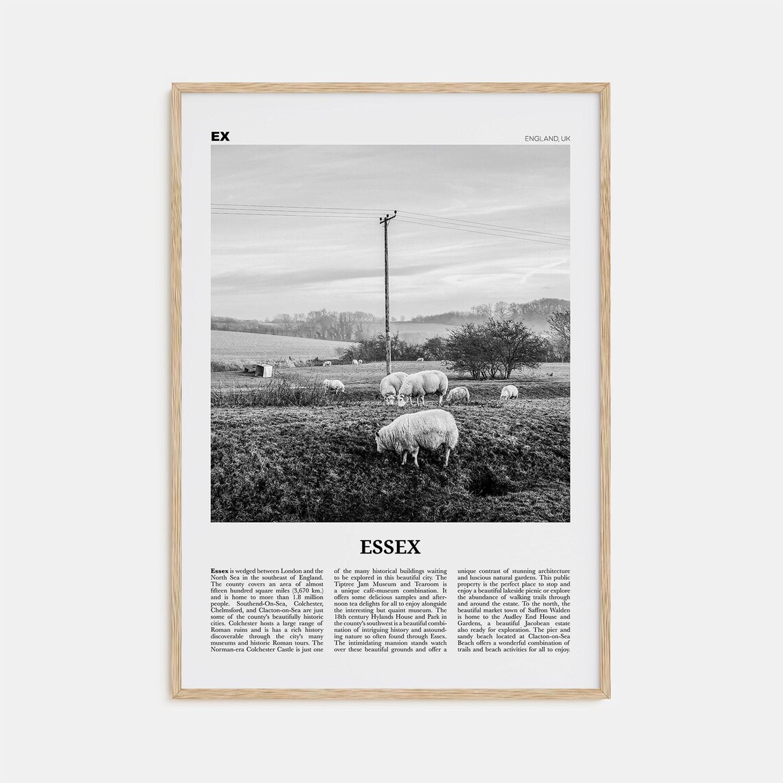 Essex Black and White Travel Poster, England Map