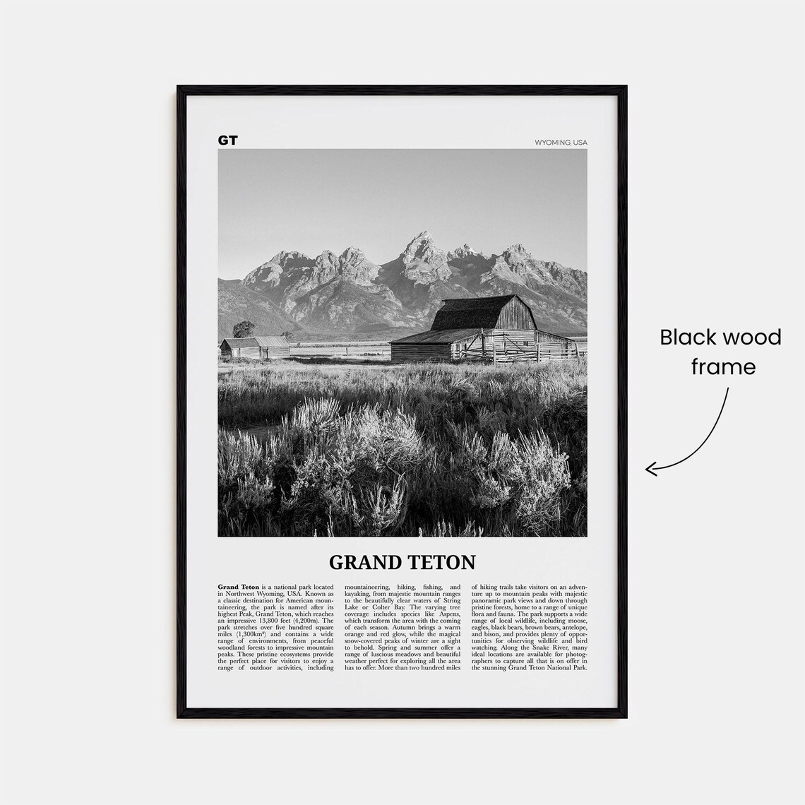 Grand Teton National Park, Black and White Travel Poster - Image 3