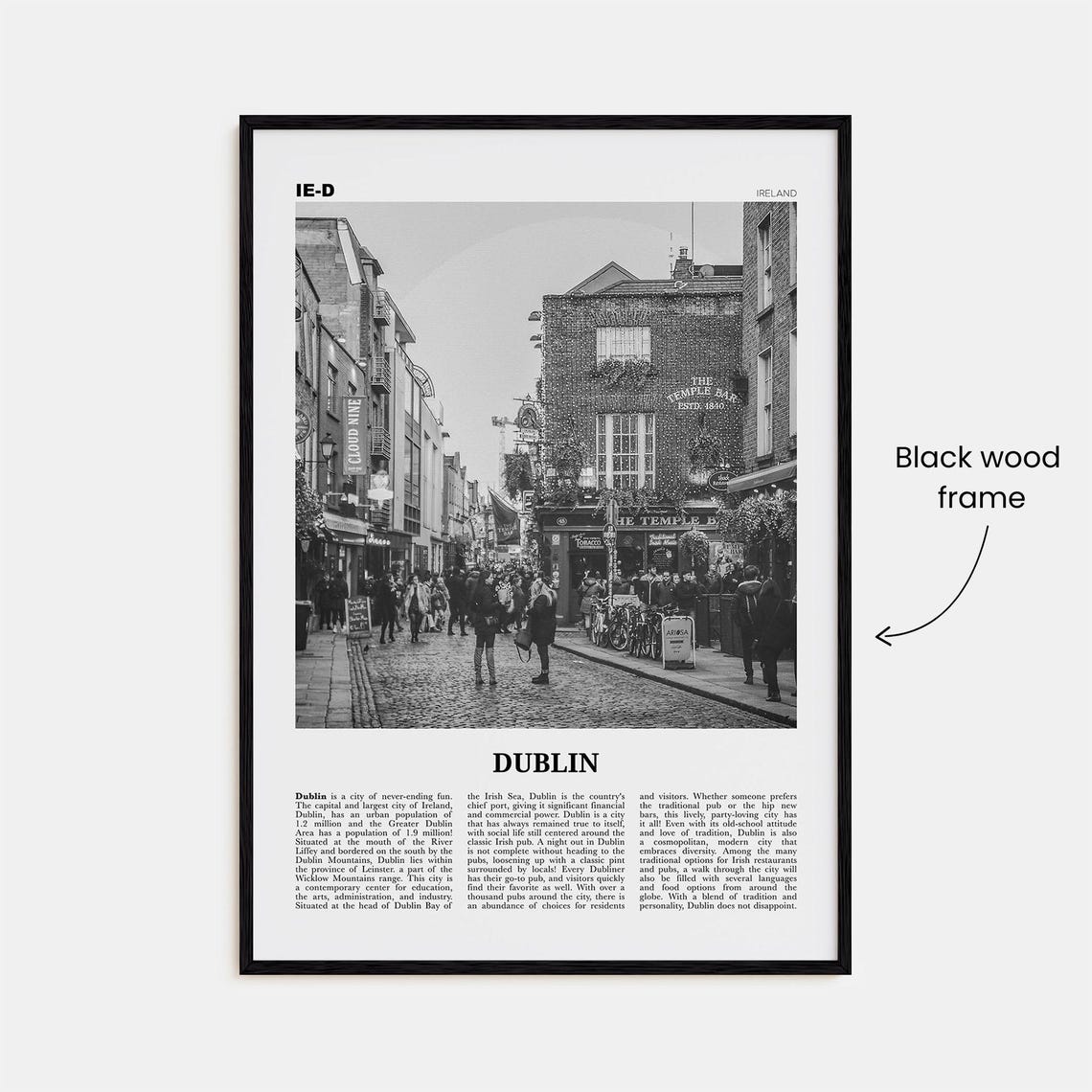 Dublin Black and White Travel Poster, Leinster - Image 3
