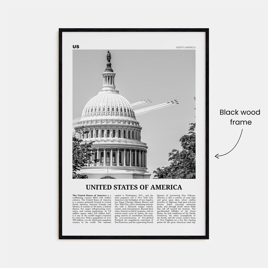 United States Of America Black And White Poster No. 2 - Image 3