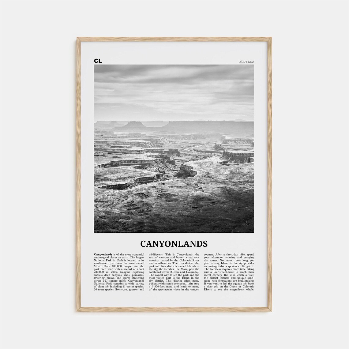 Canyonlands National Park Black and White Travel Poster