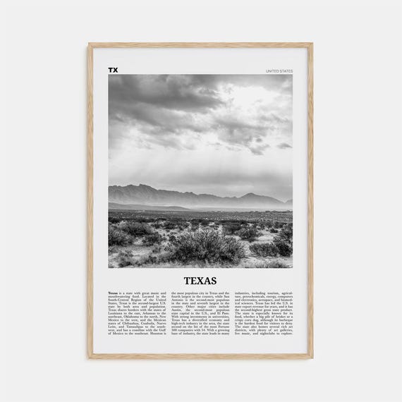 Texas Black And White No. 4 Travel Poster Art Print