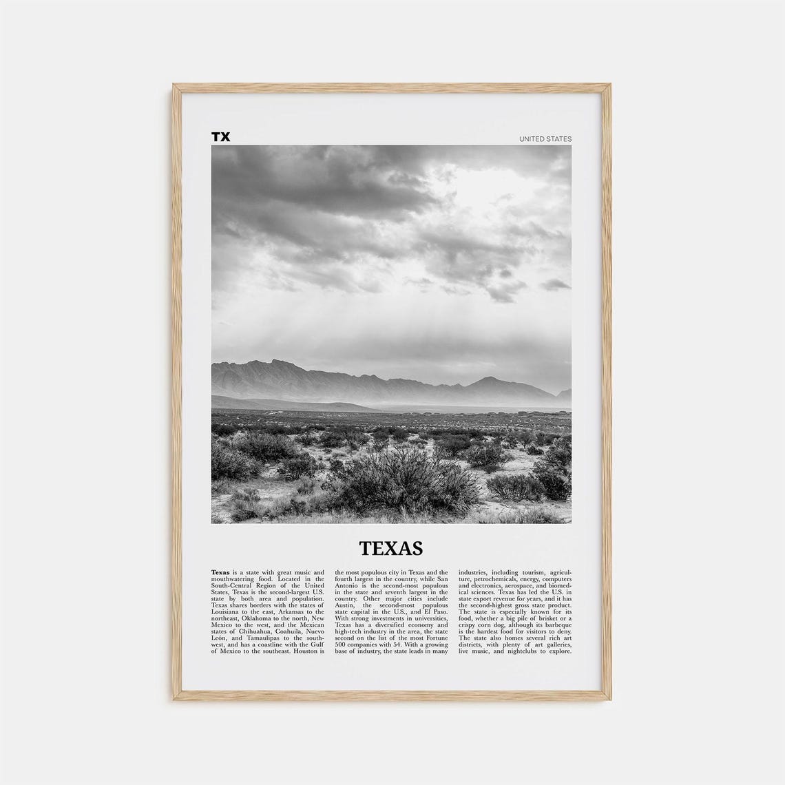 Texas Black And White No. 4 Travel Poster Art Print