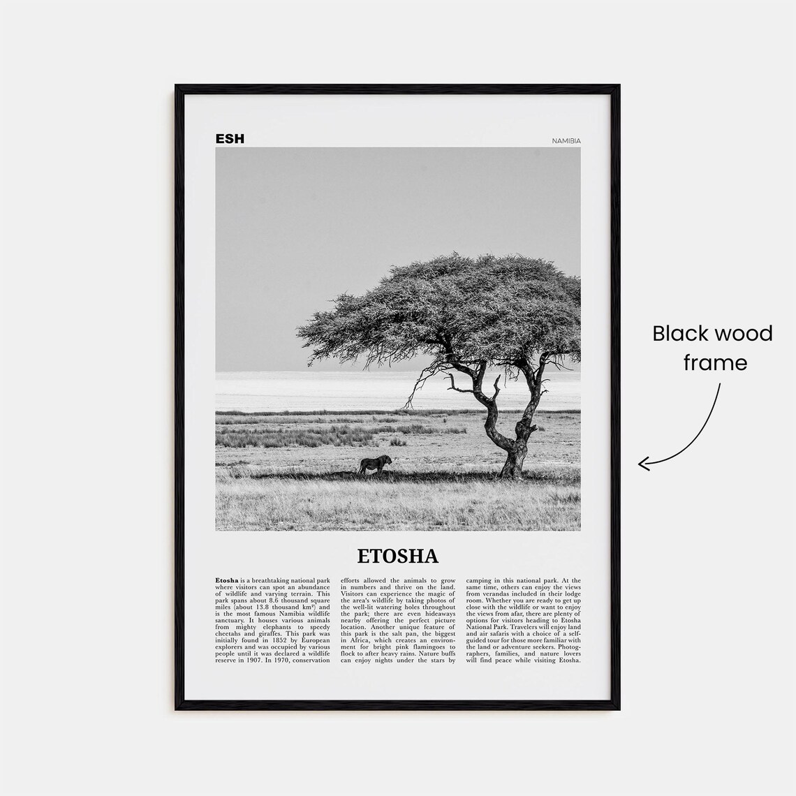 Etosha National Park Map, Black And White Art Print - Image 3