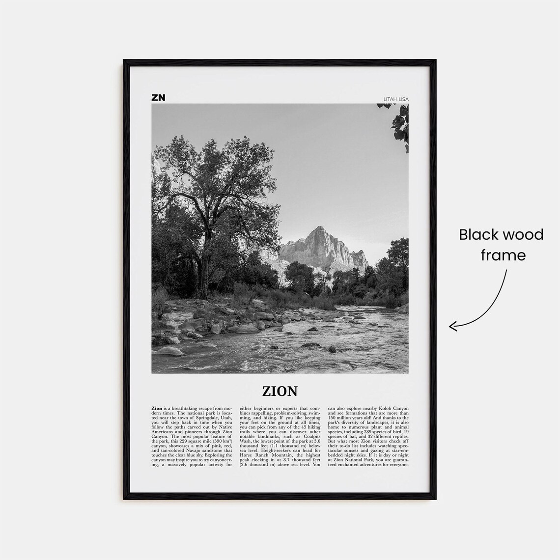 Zion National Park Black And White Travel Poster - Image 3