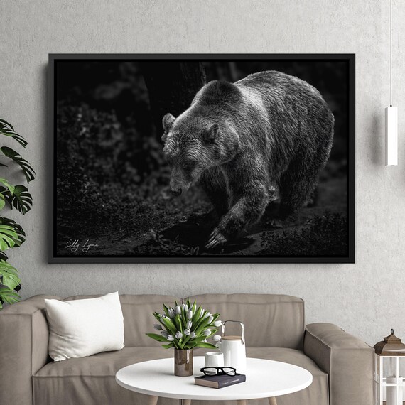 Bear Wall Art Print, Wildlife Photography