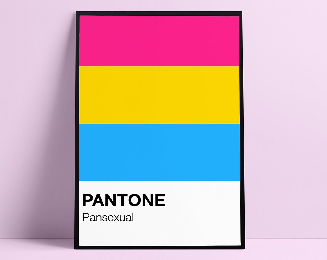Pansexual Pride Flag Pantone Style LGBTQ Identity Decor Poster
