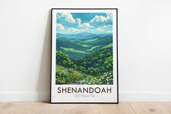 Shenandoah National Park Green Valley Wildflowers Summer View Travel Poster